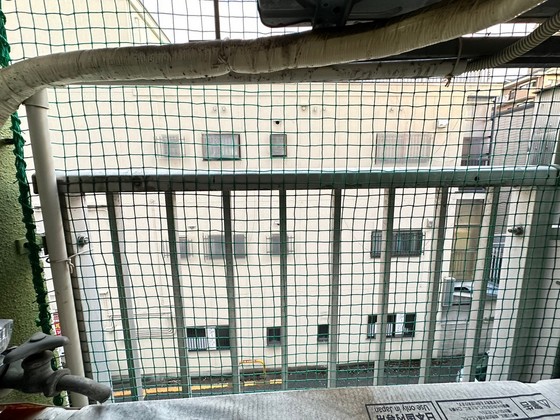 眺望　※別部屋の写真です