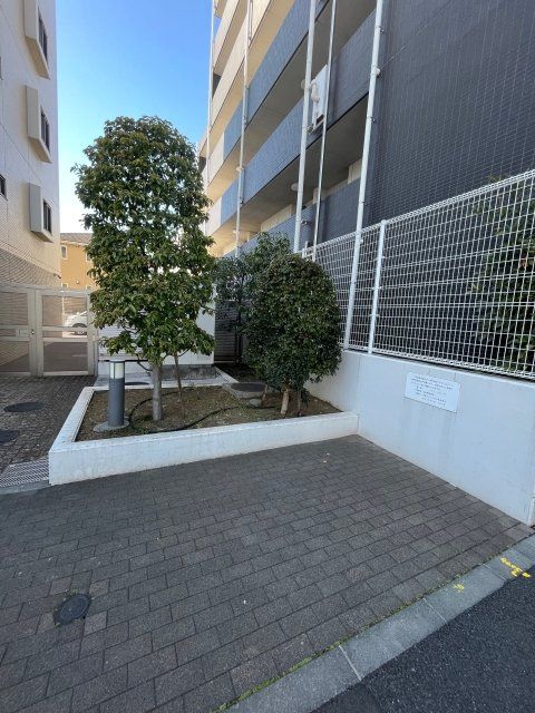 庭