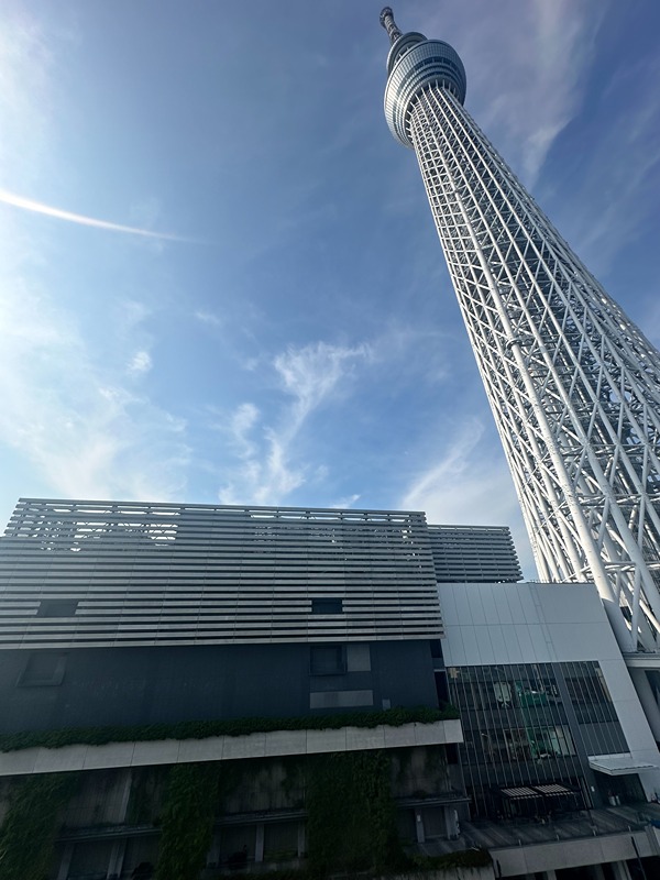 眺望　※写真902号室コピー