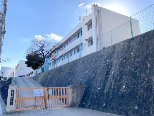 小学校　和泉市立信太小学校（小学校）まで673m