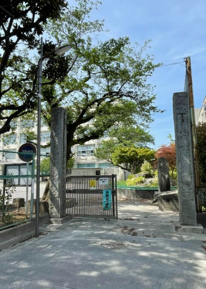 小学校　練馬区立練馬小学校（小学校）まで319m