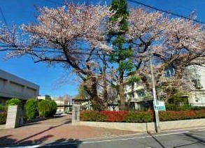 中学校　練馬区立練馬中学校（中学校）まで498m