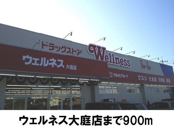 ドラックストア　ウェルネス大庭店（ドラッグストア）まで900m