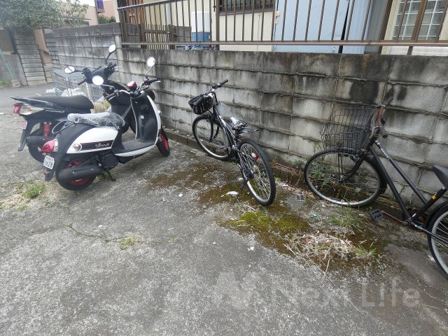 庭
