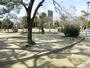 公園　桃ヶ池公園（公園）まで241m