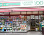 スーパー　ローソンストア100 足立綾瀬二丁目店（スーパー）まで794m