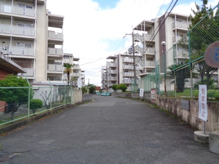 その他　周辺道路（その他）まで10m