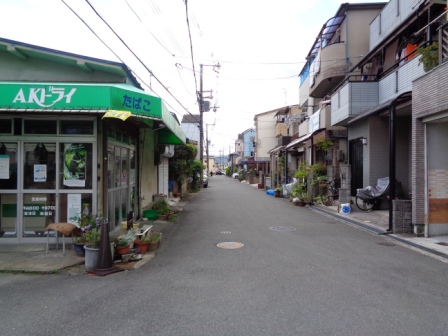 その他　周辺道路（その他）まで10m