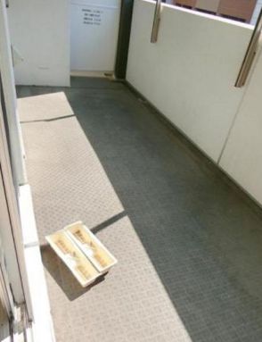 バルコニー　バルコニー付きです