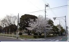 公園　洲原公園（公園）まで3600m