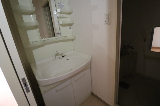 洗面設備　※別号室の写真です