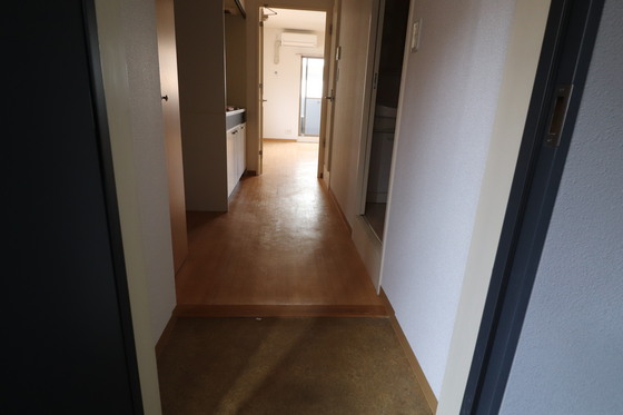 玄関　※別号室の写真です