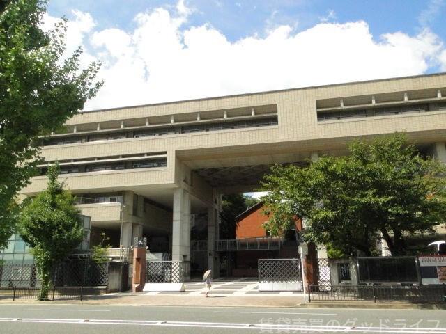 大学・短大　私立大谷大学（大学・短大）まで385m