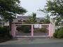 幼稚園・保育園　白須賀幼稚園（幼稚園・保育園）まで250m