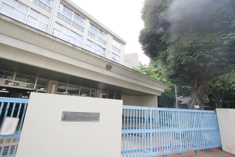 小学校　文京区立関口台町小学校（小学校）まで486m