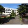 小学校　苫小牧市立緑小学校（小学校）まで1699m