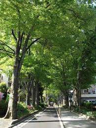 公園　氷川緑地（公園）まで289m