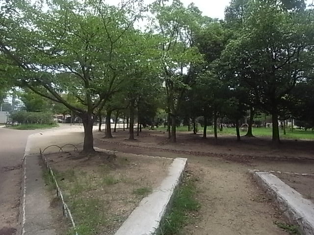 公園　大和公園（公園）まで333m