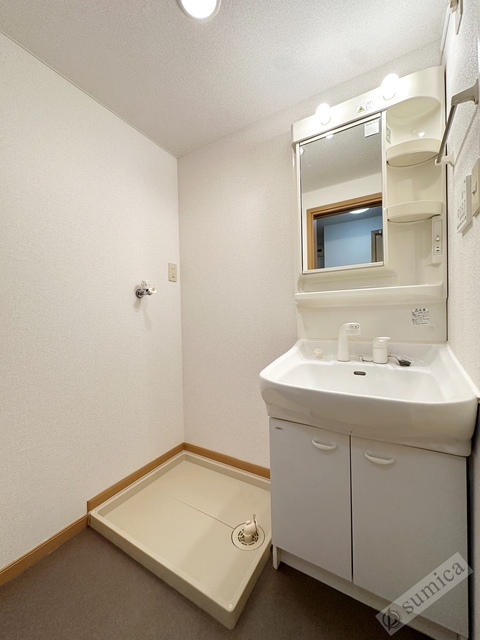 洗面設備　シャンプードレッサー付き・朝シャンもこちらで♪♪