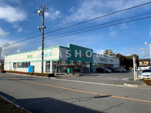 ドラックストア　スギ薬局 高浜店（ドラッグストア）まで244m
