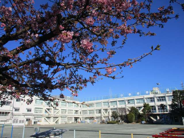 小学校　世田谷区立等々力小学校（小学校）まで640m