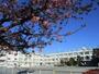 小学校　世田谷区立等々力小学校（小学校）まで640m