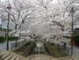 公園　呑川緑道（公園）まで984m
