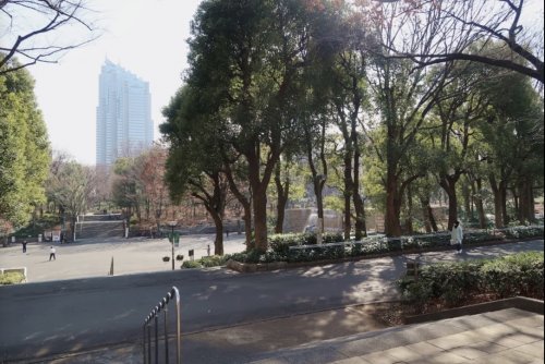 公園　新宿中央公園（公園）まで588m