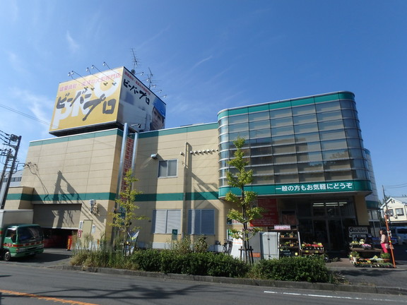 ホームセンター　ビーバープロ宮前野川店（ホームセンター）まで955m