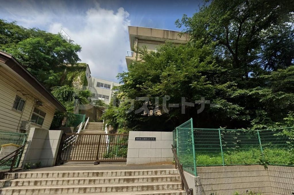 小学校　市川市立国府台小学校（小学校）まで600m