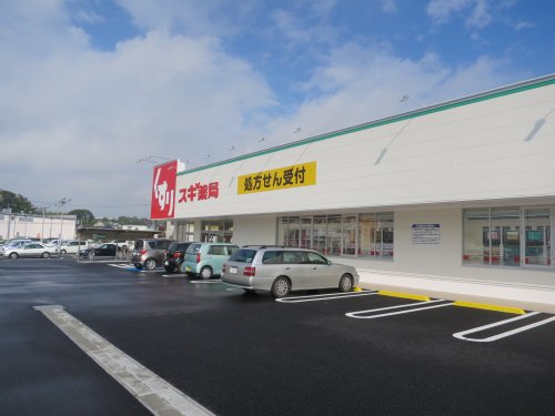 ドラックストア　スギ薬局前後店（ドラッグストア）まで1181m