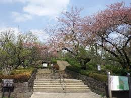 公園　羽根木小緑地（公園）まで380m