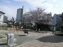 公園　野沢二丁目公園（公園）まで608m