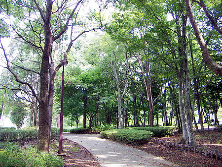 公園　御成公園（公園）まで483m