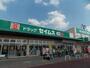 ドラックストア　ドラッグセイムスモールプラザ草加中央店（ドラッグストア）まで365m