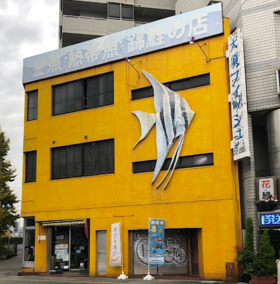 その他　大須フィッシュ（その他）まで170m