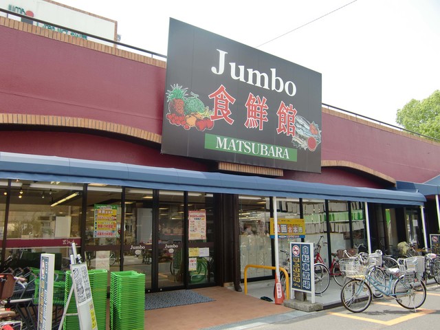 スーパー　じゃんぼ食鮮館松原（スーパー）まで576m