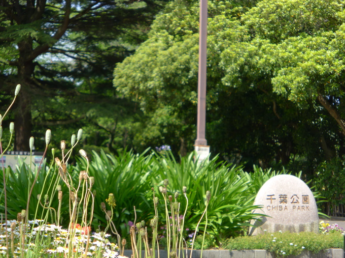 公園　千葉公園（公園）まで1230m