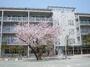 小学校　世田谷区立船橋小学校（小学校）まで1008m