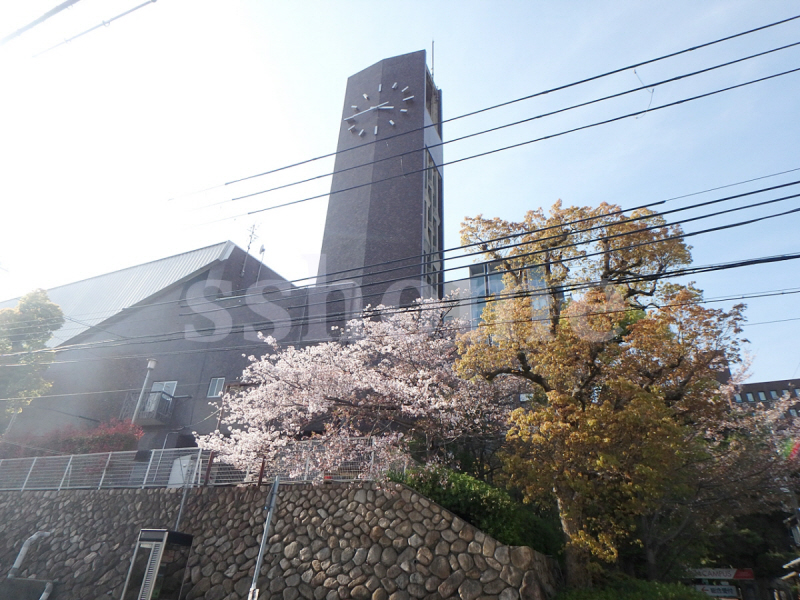 大学・短大　甲南大学（大学・短大）まで1100m