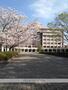 大学・短大　宮崎公立大学（大学・短大）まで1291m
