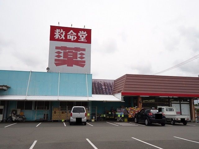 ドラックストア　救命堂川南店（ドラッグストア）まで500m
