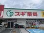 ドラックストア　スギドラッグ 練馬三原台店（ドラッグストア）まで207m