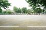 公園　若葉公園（公園）まで219m