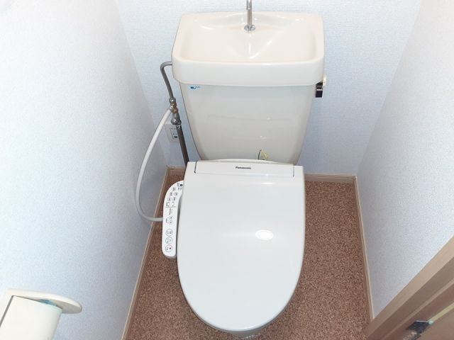 メープルファーム照山IIのトイレ写真
