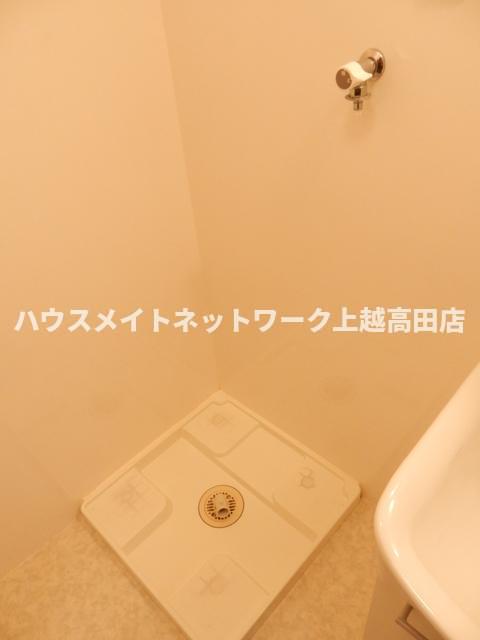 ルピナスIのその他写真