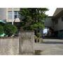 小学校　高岡市立能町小学校（小学校）まで1254m