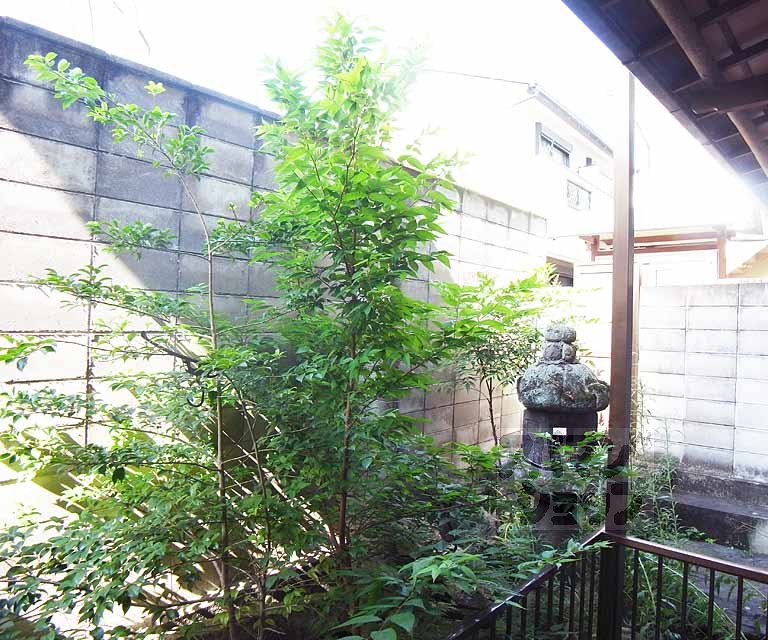 眺望　１Ｆのベランダからの景色です