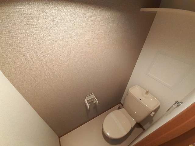 ＪＲ鹿児島本線 笹原駅 徒歩17分 7階建 築21年のトイレ写真