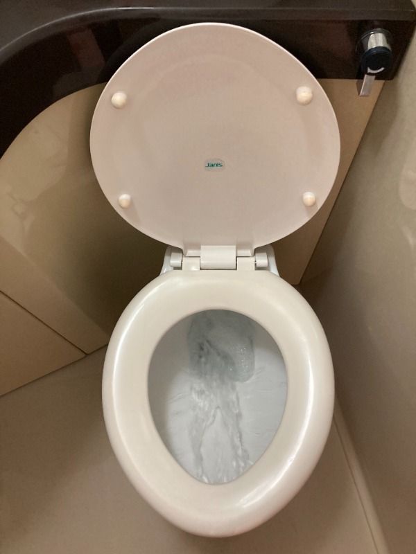ワコーレエレガンス東習志野のトイレ写真